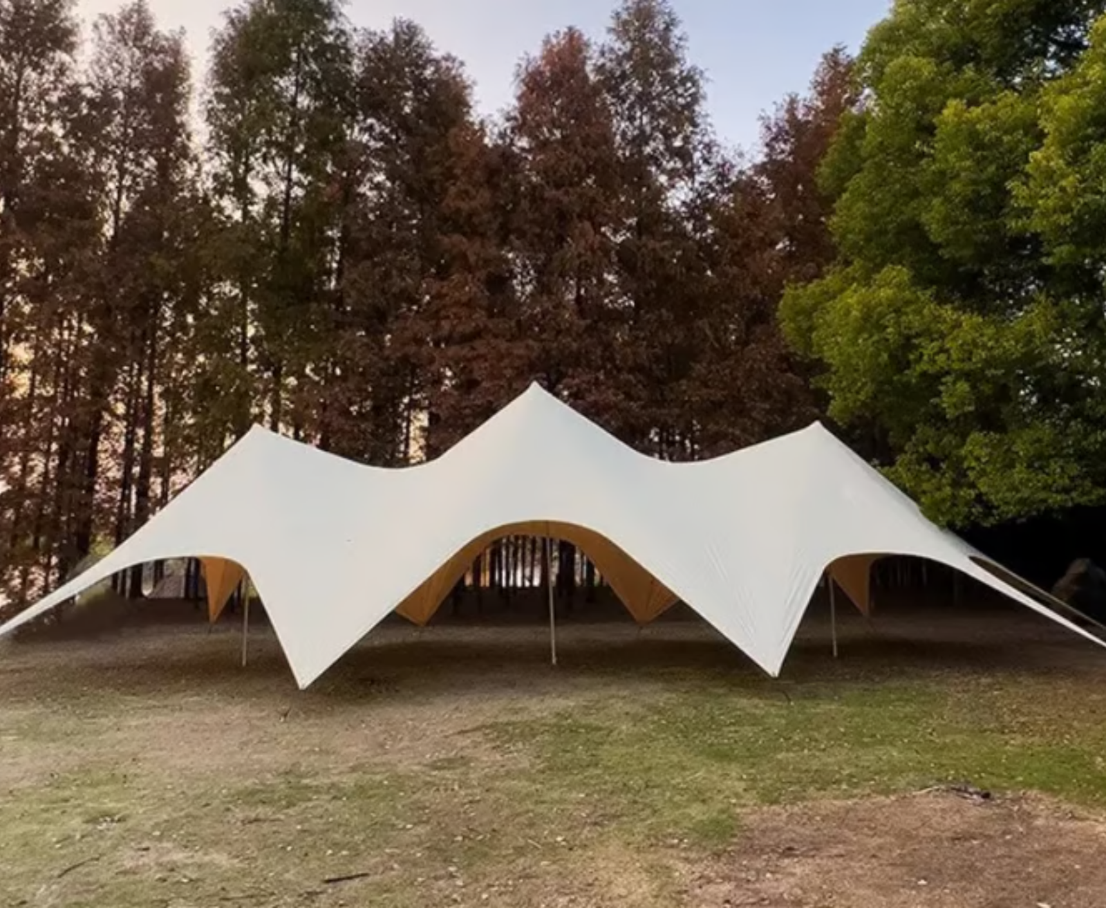 LAUKO PALAPINĖ „STAR“ 20×10